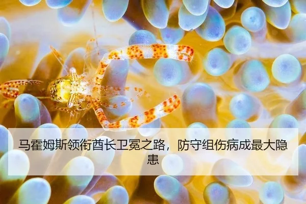 马霍姆斯领衔酋长卫冕之路，防守组伤病成最大隐患