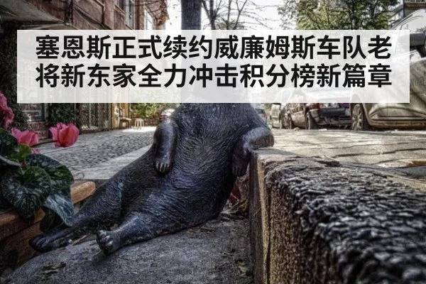塞恩斯正式续约威廉姆斯车队老将新东家全力冲击积分榜新篇章