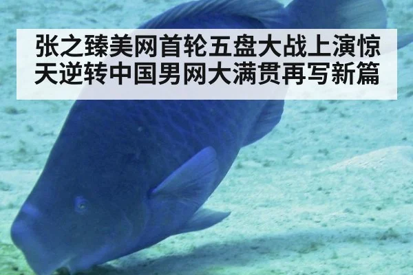 张之臻美网首轮五盘大战上演惊天逆转中国男网大满贯再写新篇